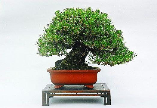 1 (26).jpg
