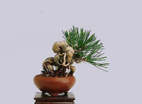 1 (15).jpg