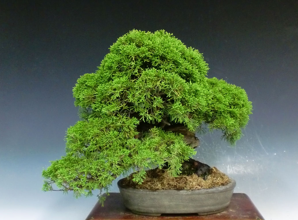 1 (13).jpg