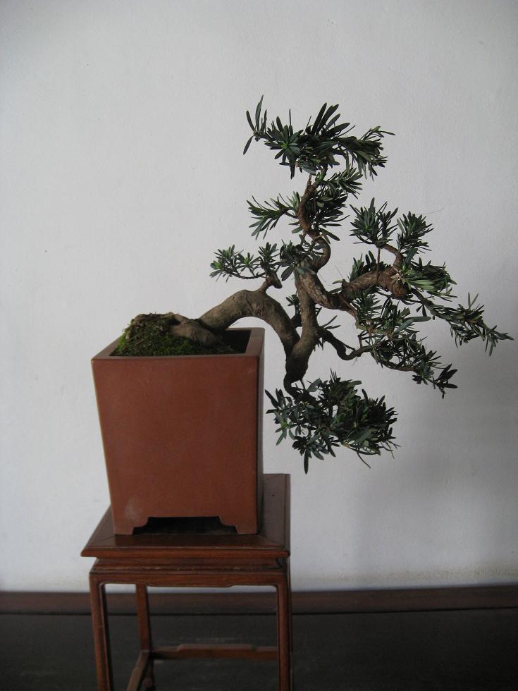 Ƭ 15091.jpg