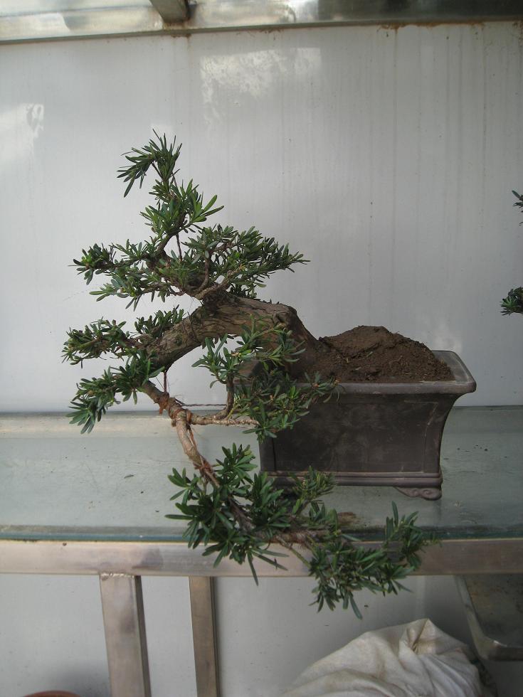 Ƭ 15093.jpg