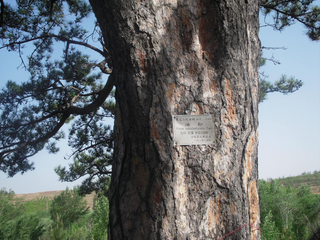 DSCN2372.JPG