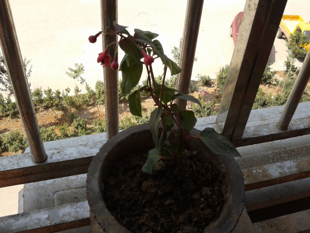 2012-06-19 15.04.36.jpg