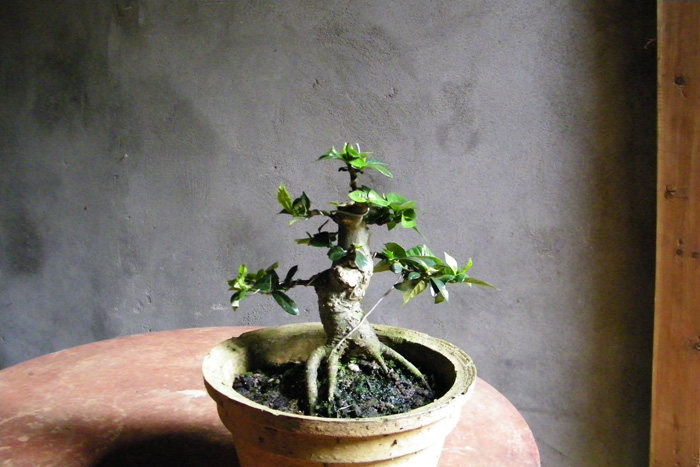 100_1839.jpg