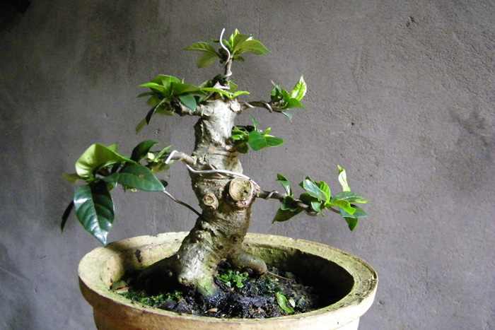 100_1840.jpg