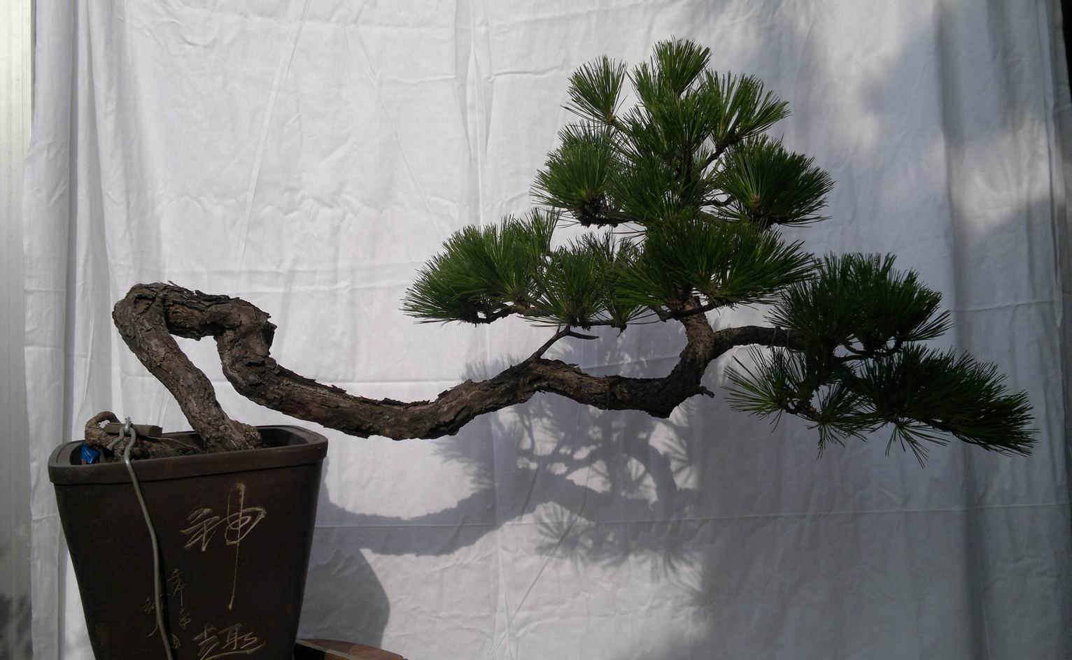 20120619247.jpg