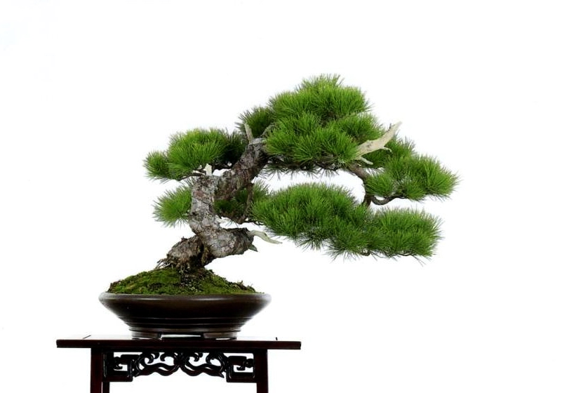 1323400428_XL.jpg