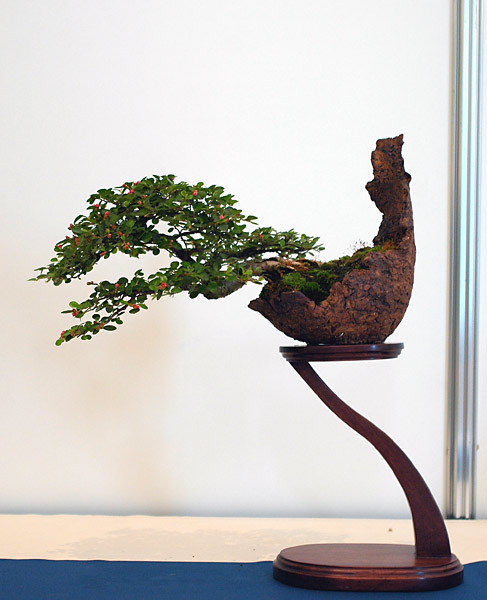 Dsc_2150v.jpg