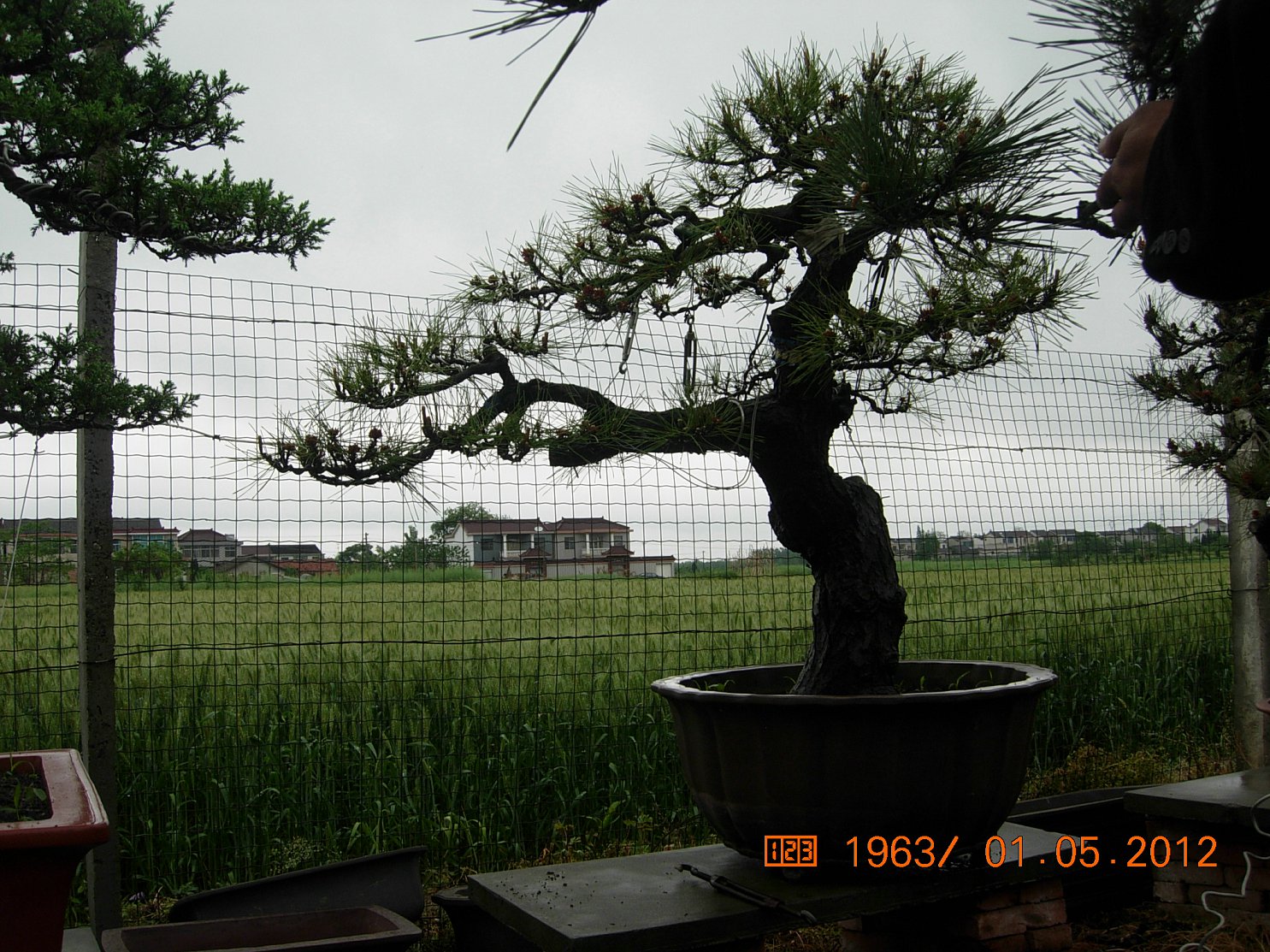 DSCN6085.JPG
