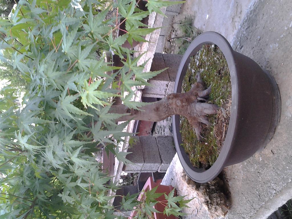 2012-06-20 18.16.07.jpg