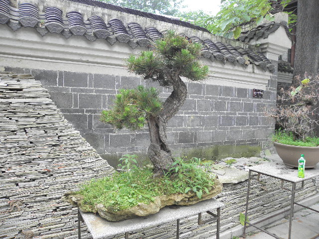 P6181847.JPG