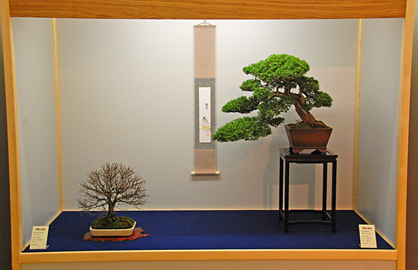 DSC_2473v.jpg