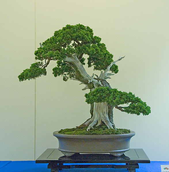 DSC_2499.jpg