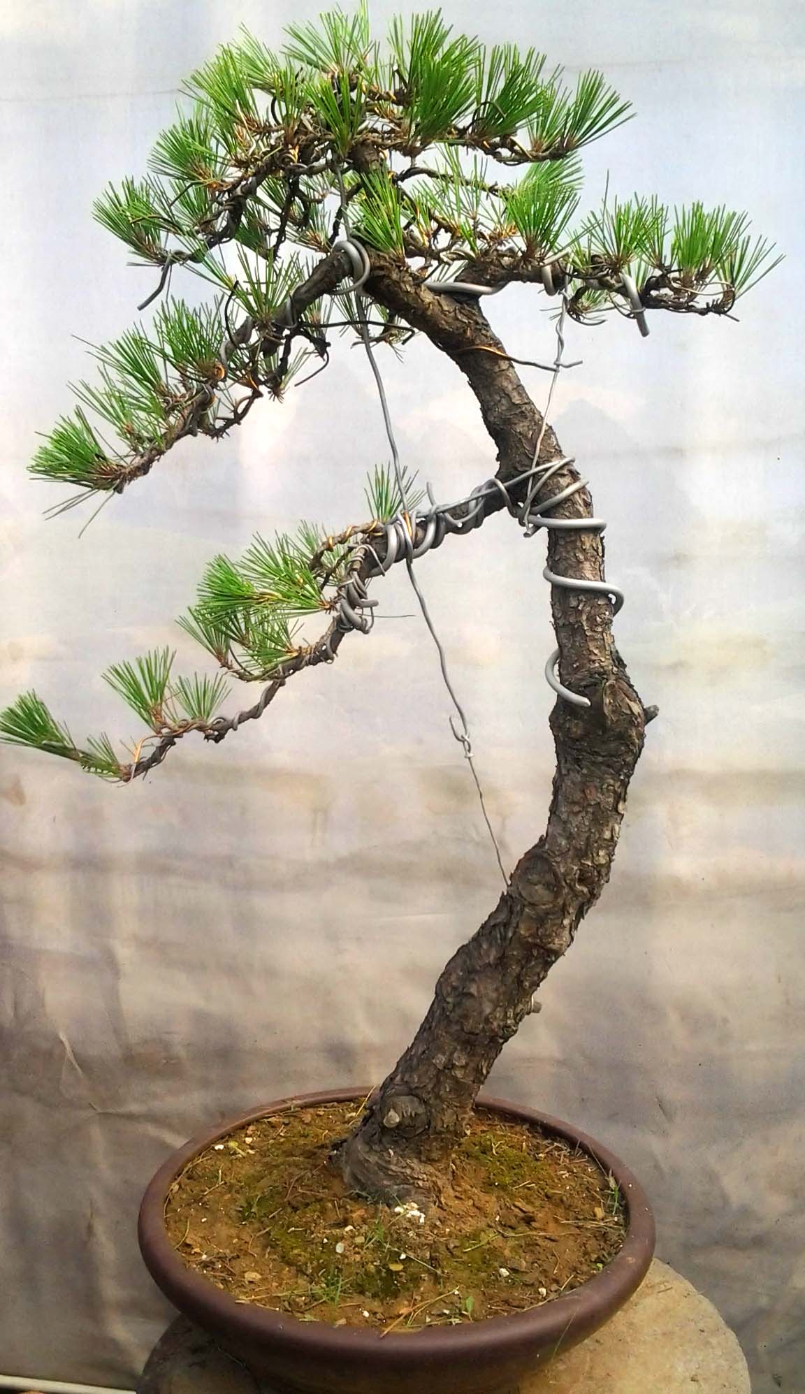 Ƭ0102.jpg