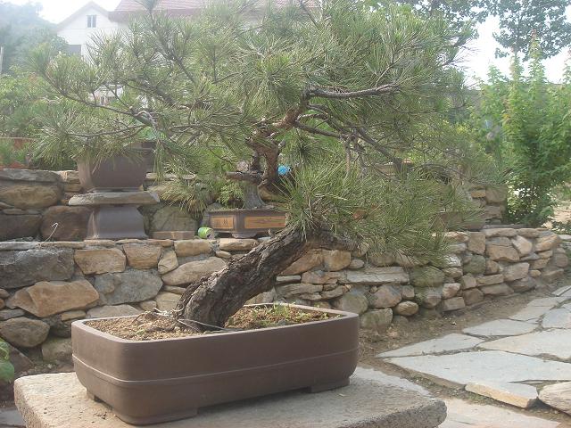 DSC06200.JPG
