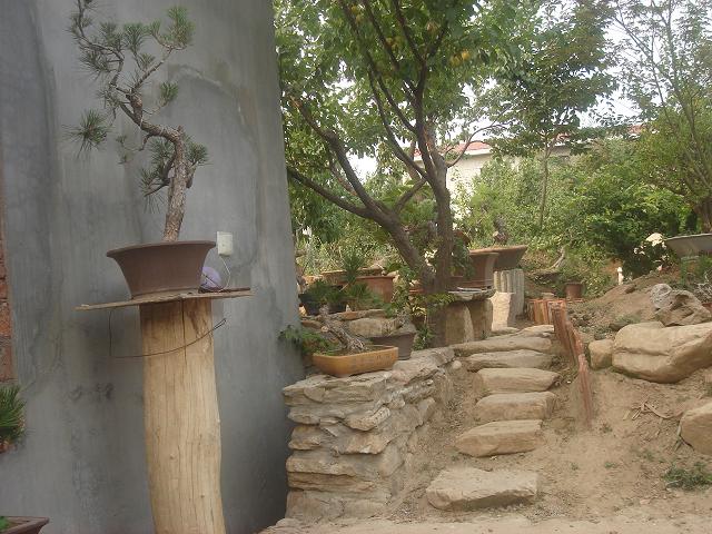 DSC06206.JPG
