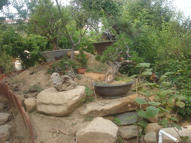 DSC06205.JPG