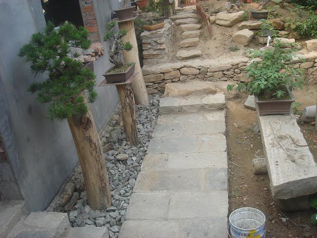 DSC06207.JPG