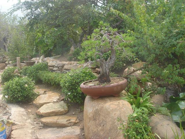 DSC06210.JPG