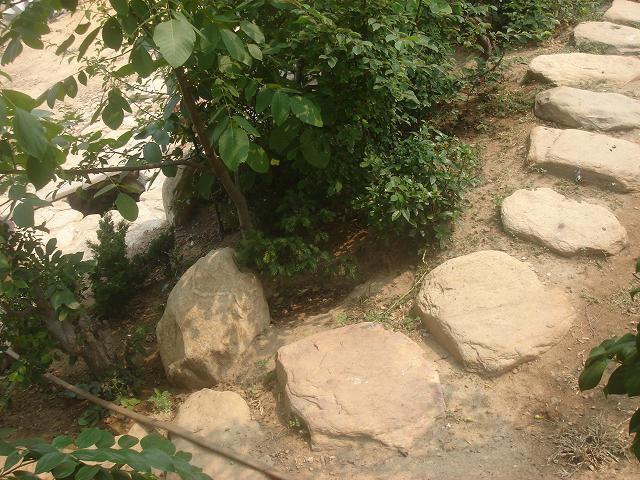 DSC06213.JPG