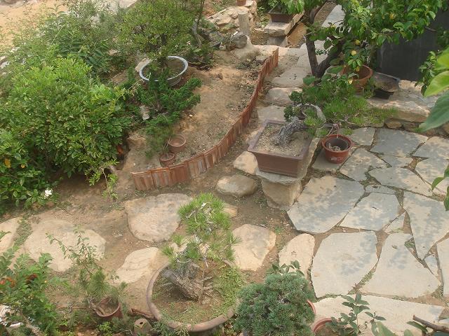 DSC06214.JPG