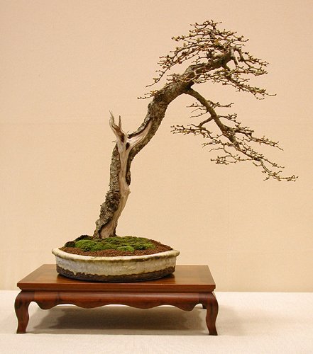 2007010315460434767.jpg