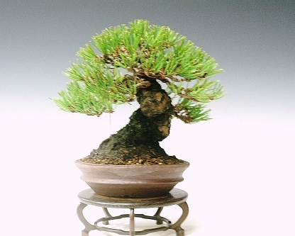 1 (18).jpg