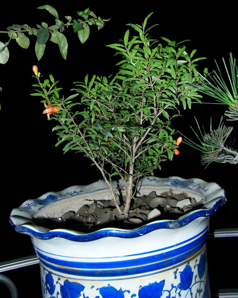 200959ʯ.jpg