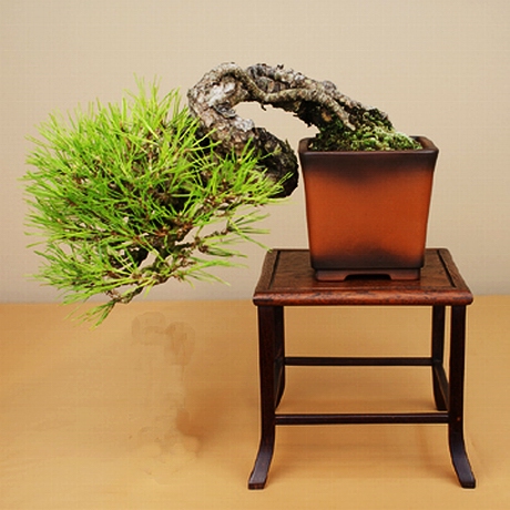021-360.jpg