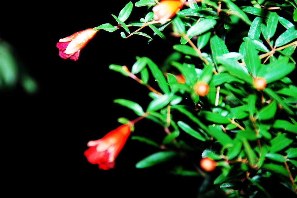 DSC_0404.jpg
