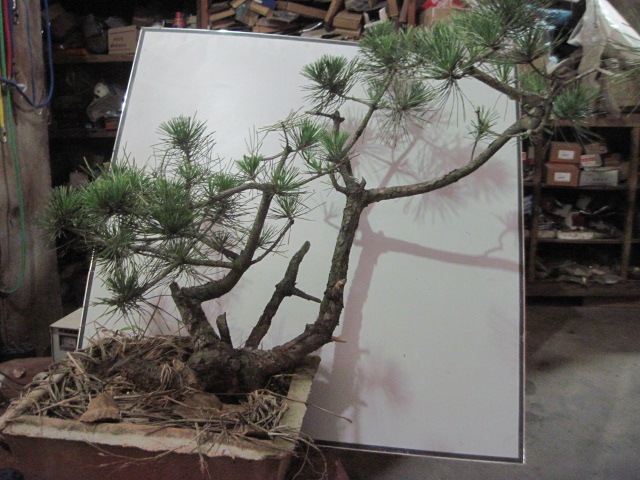 20120621һС 002.jpg