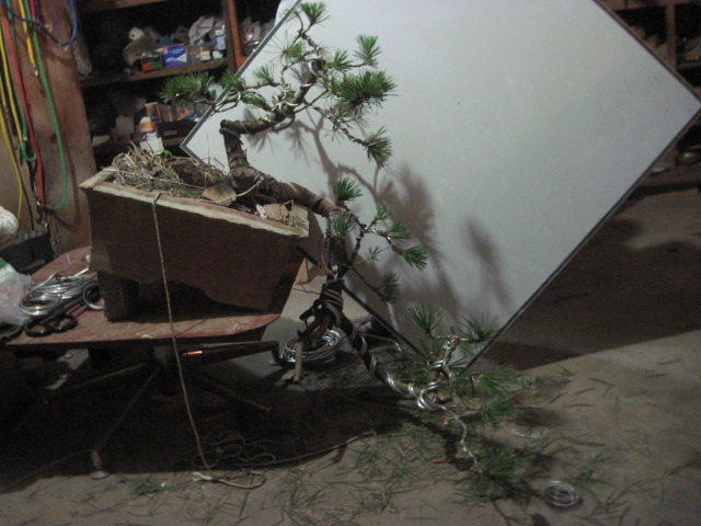 20120621һС 004.jpg