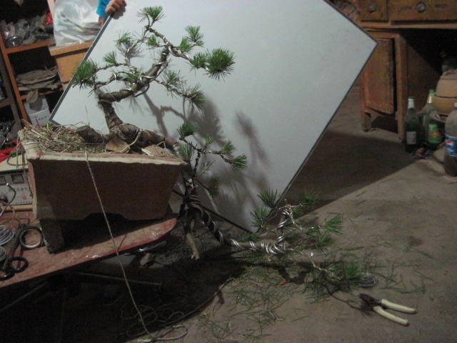 20120621һС 005.jpg