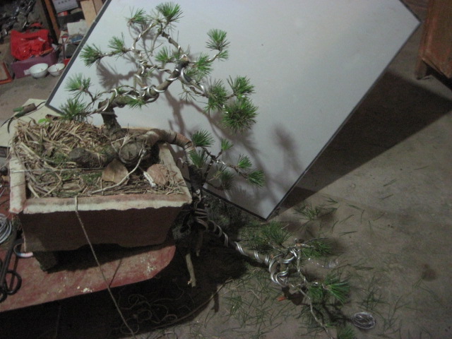 20120621һС 006.jpg