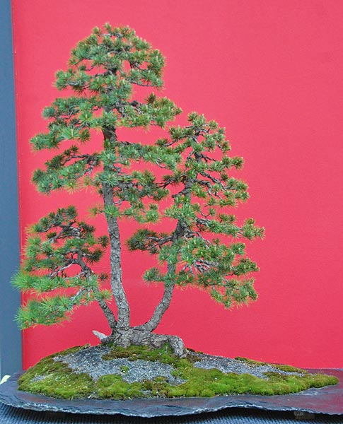 DSC_2892v.jpg