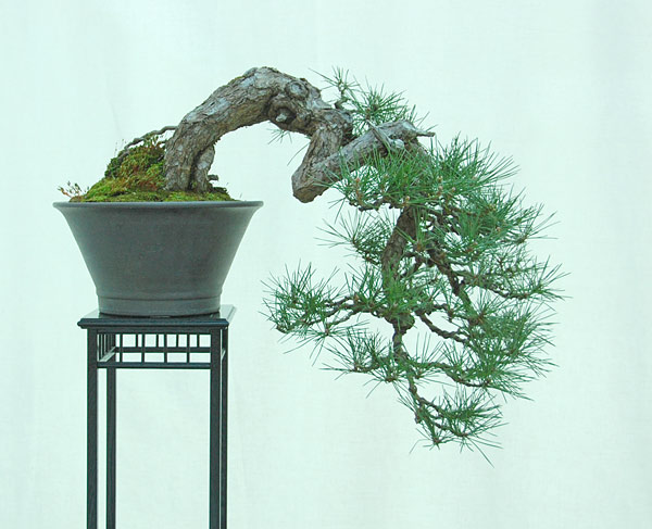 DSC_2896v.jpg