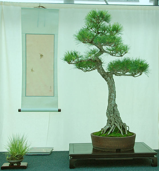DSC_2908v.jpg