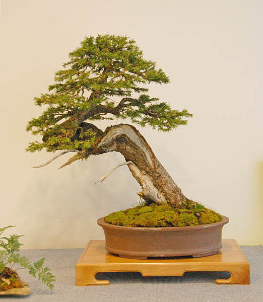 DSC_2935v.jpg