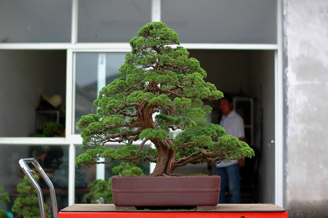 DSC_4898__resize.jpg