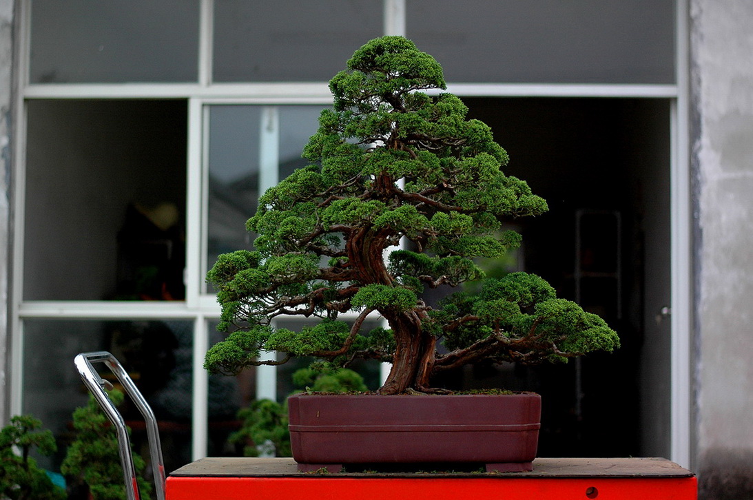 DSC_4897__resize.jpg