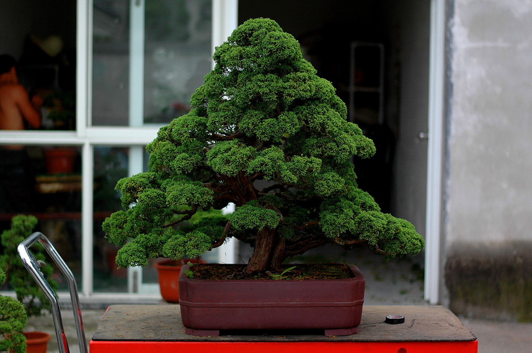 DSC_4895__resize.jpg