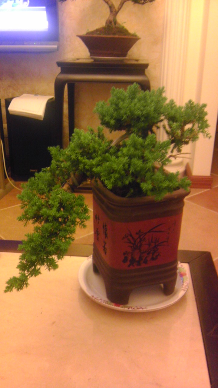 IMAG0556.jpg