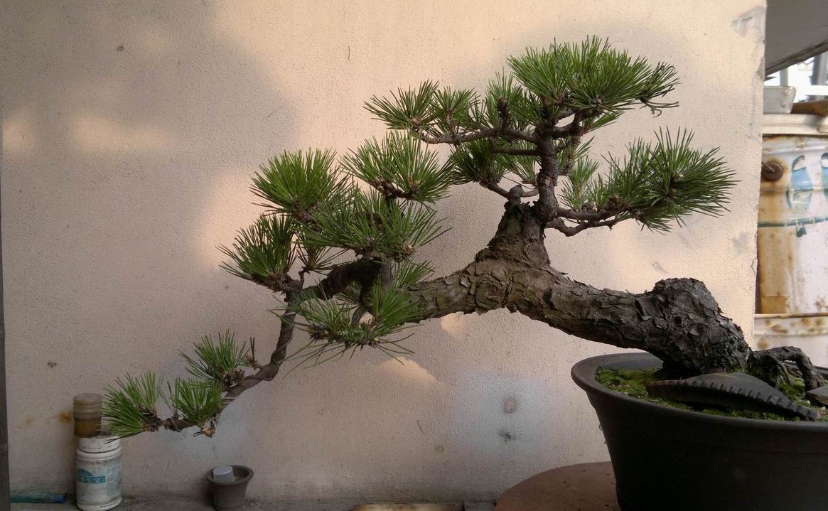 20120622262.jpg