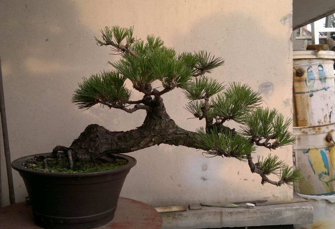 20120622261.jpg