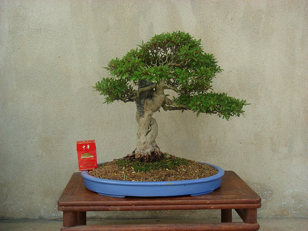 DSC00326_.jpg