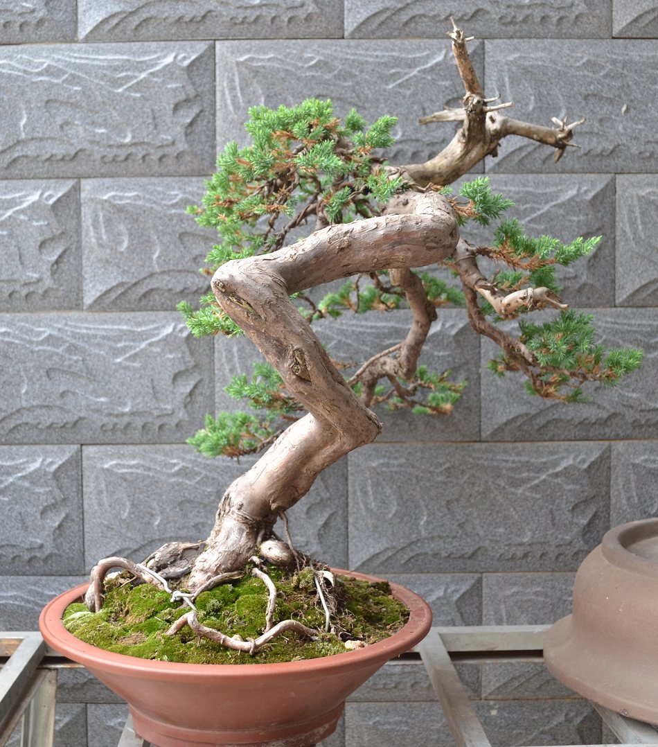 Ƭ 065.jpg