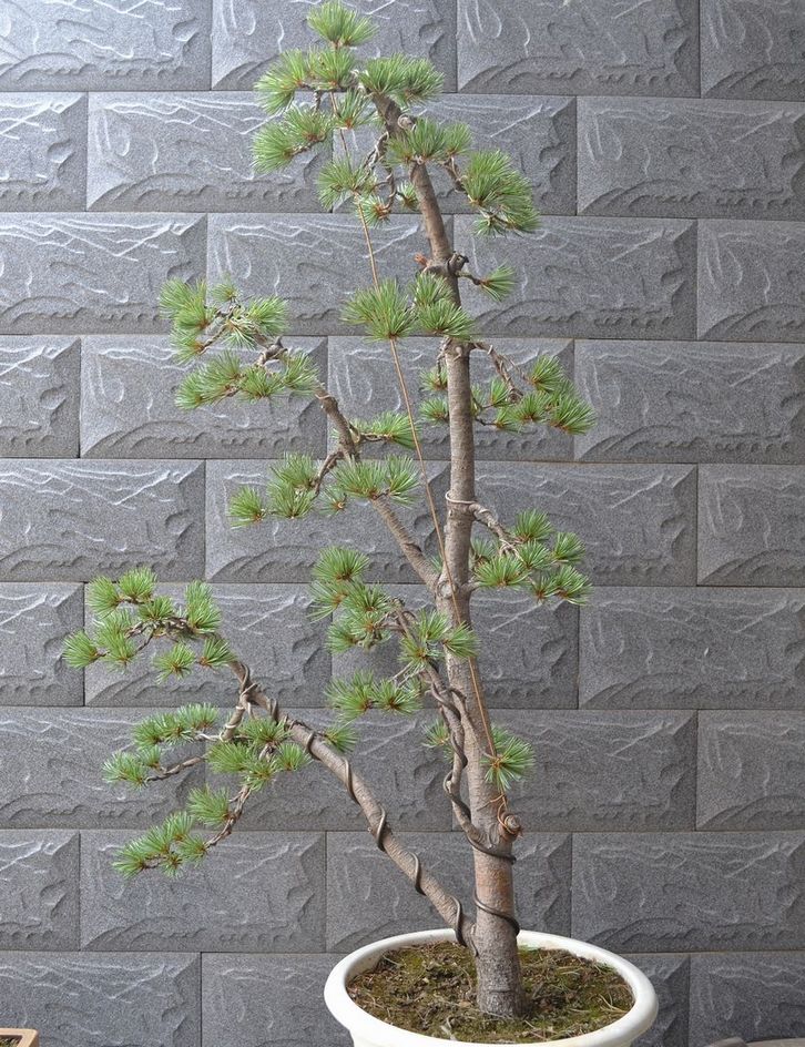 Ƭ 075.jpg