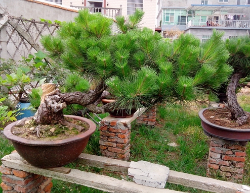 IMG_20120622_111826.jpg