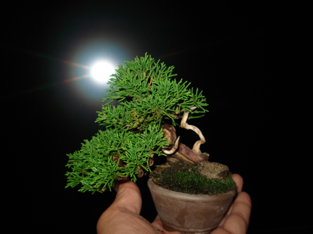 DSC01091.JPG