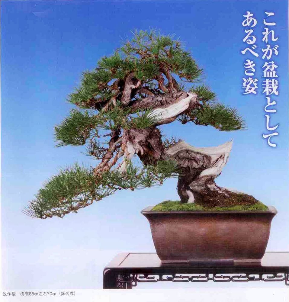 hc002.jpg